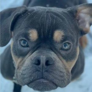 Meet your Posher, Elsa